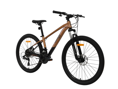 Keskin MTB1 29 Zoll Mountainbike Bronze