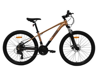Keskin MTB1 29 Zoll Mountainbike Bronze
