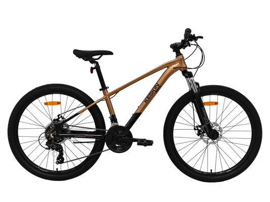 Keskin MTB1 29 Zoll Mountainbike Bronze