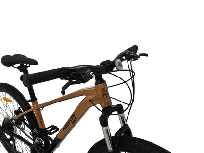 Keskin MTB1 29 Zoll Mountainbike Bronze