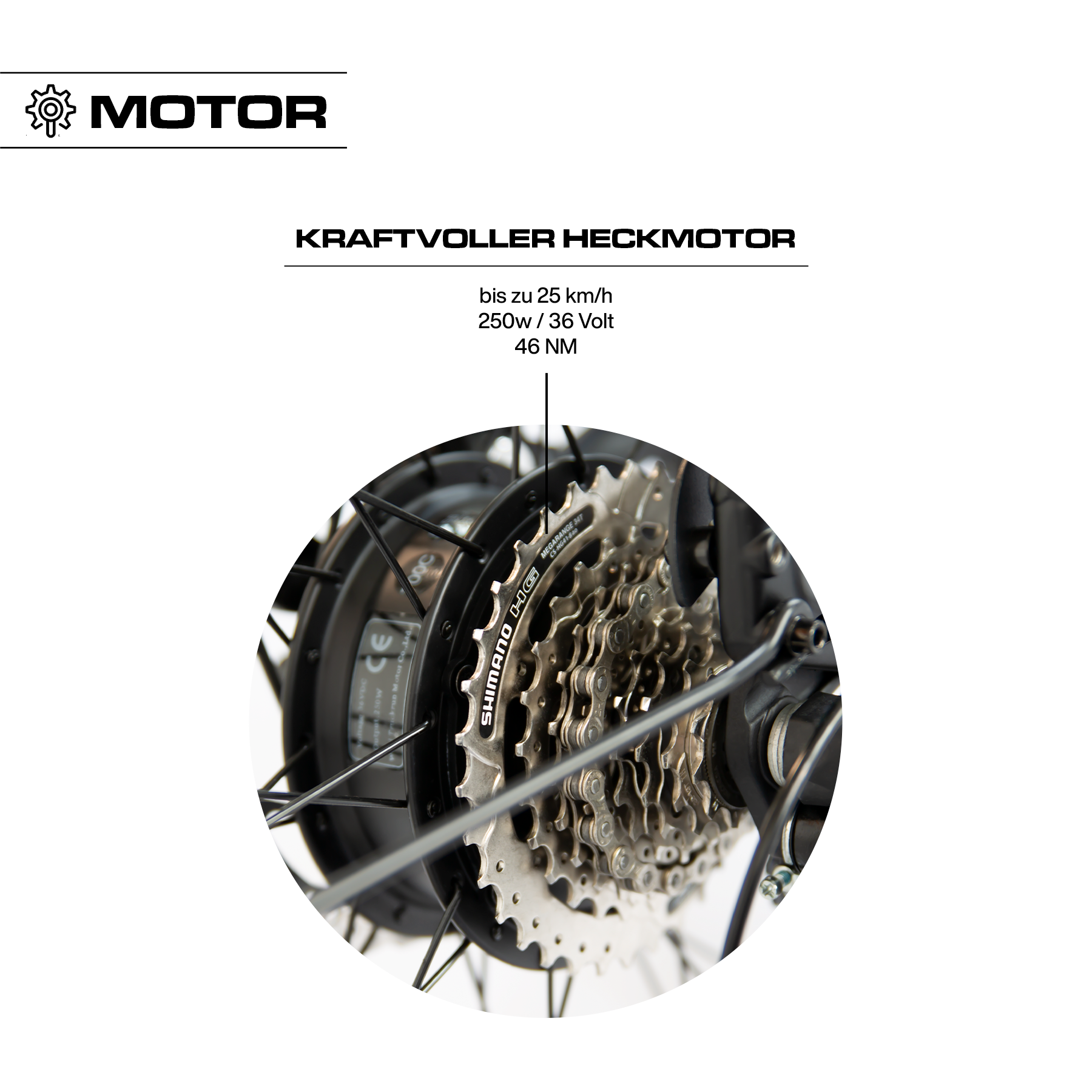 Kraftvoller Heckmotor C Cbike 1V