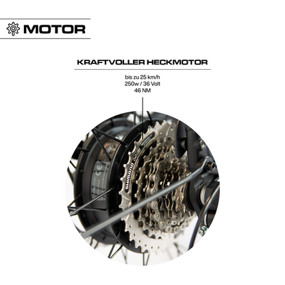 Kraftvoller Heckmotor C Cbike 1V